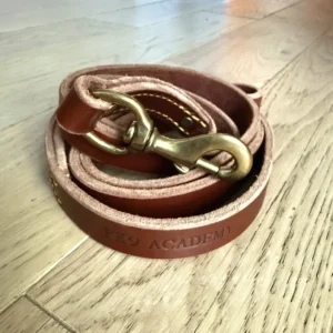 Leather Leash