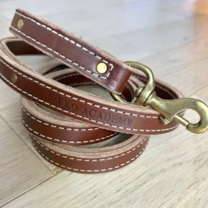 Double Stitch Leather Leash